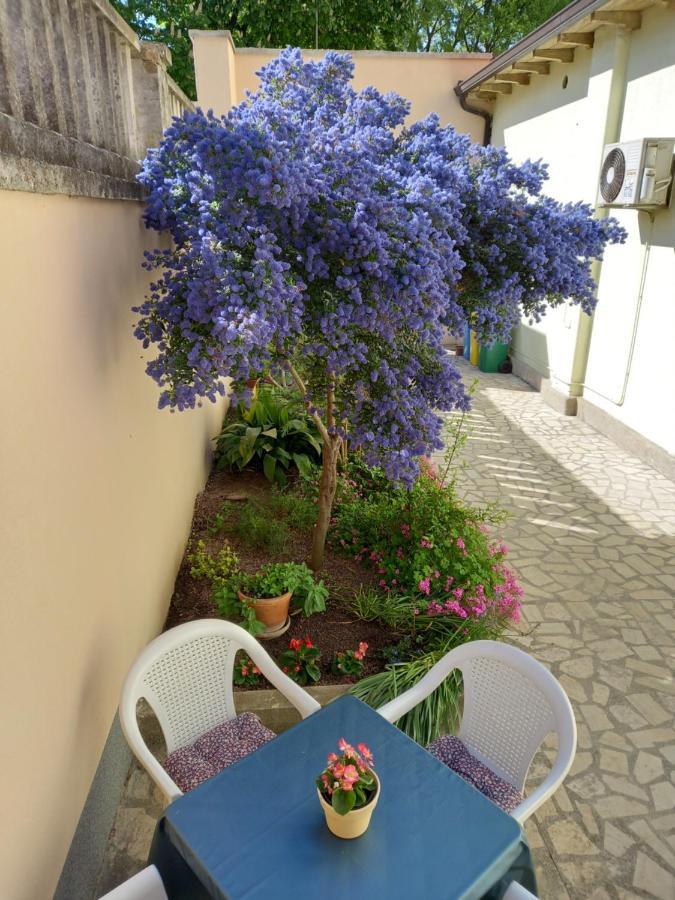 Apartment Punta Πούλα Εξωτερικό φωτογραφία